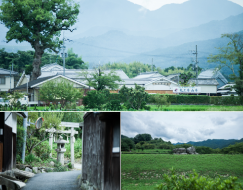 豊かな歴史と緑にかこまれた奈良の地。の画像