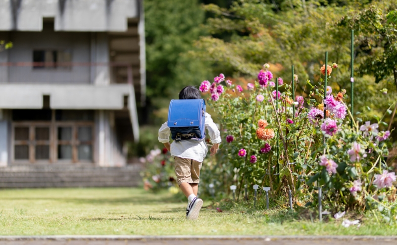 ブルーのランドセルを背負った男の子が、小学校に向けて校庭を歩んでいる。色鮮やかな花がその周りを彩っている。